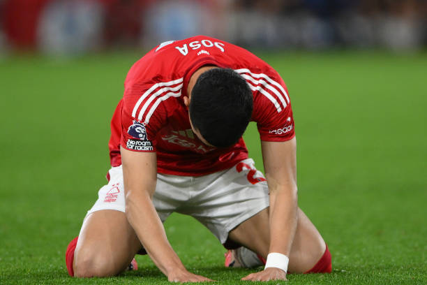 胆交易引入 胆交易引入